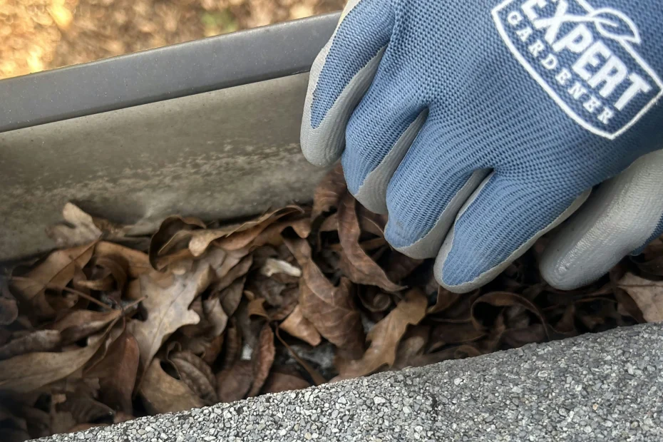 Gutter Cleaning Big Stone Gap