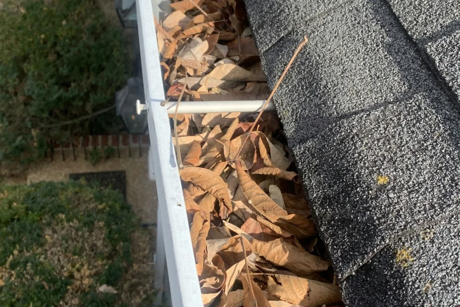 Gutter Cleaning Big Stone Gap